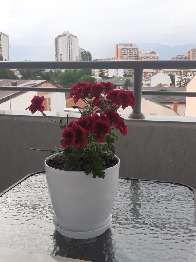 Ballet Apartament Σκόπια Εξωτερικό φωτογραφία